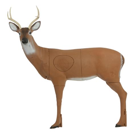 deer archery target